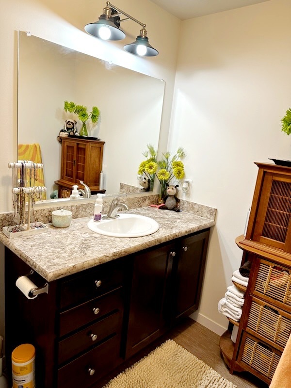 186 Northshore Road Elgin, IL 60123 - Photo 5 of 14 a bathroom with a granite countertop sink and a mirror