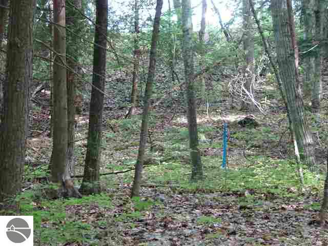 Lot 26 Beach Road Frankfort, MI 49635 - Photo 13 of 15 1736015-12.JPG