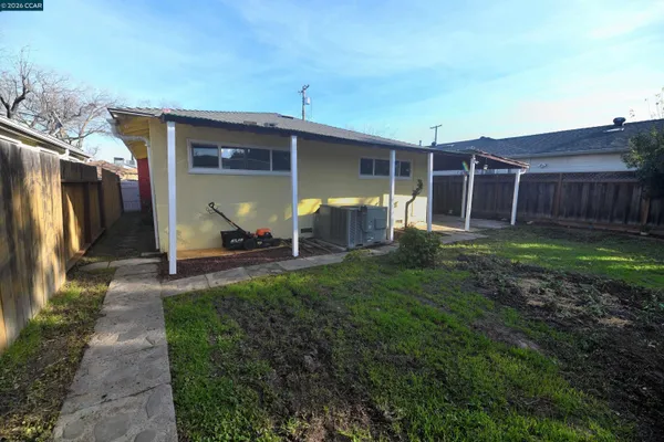 a view of a backyard with potted plants and a large tree