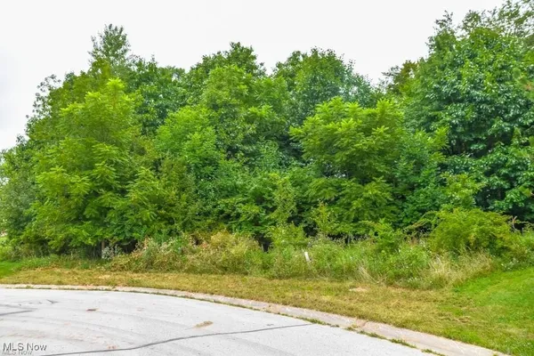 $25,000 | Rowland Avenue Northeast, Canton, OH 44714