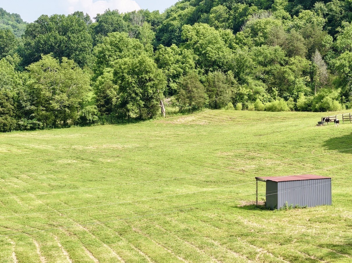 161 Fowler Road Woodbury, TN 37190 - Photo 14 of 69 a view of a pool with an outdoor space