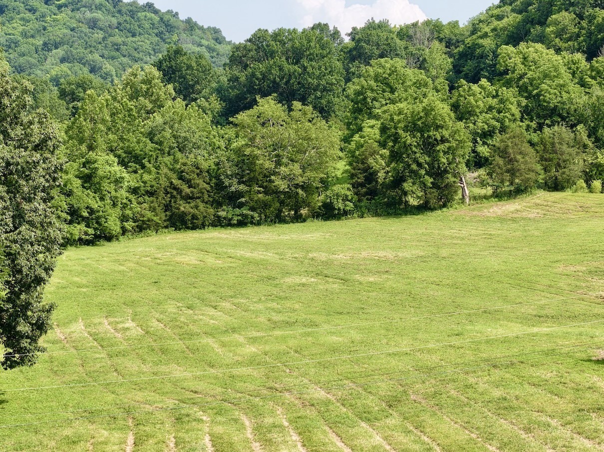 161 Fowler Road Woodbury, TN 37190 - Photo 15 of 69 a view of an ocean from a yard