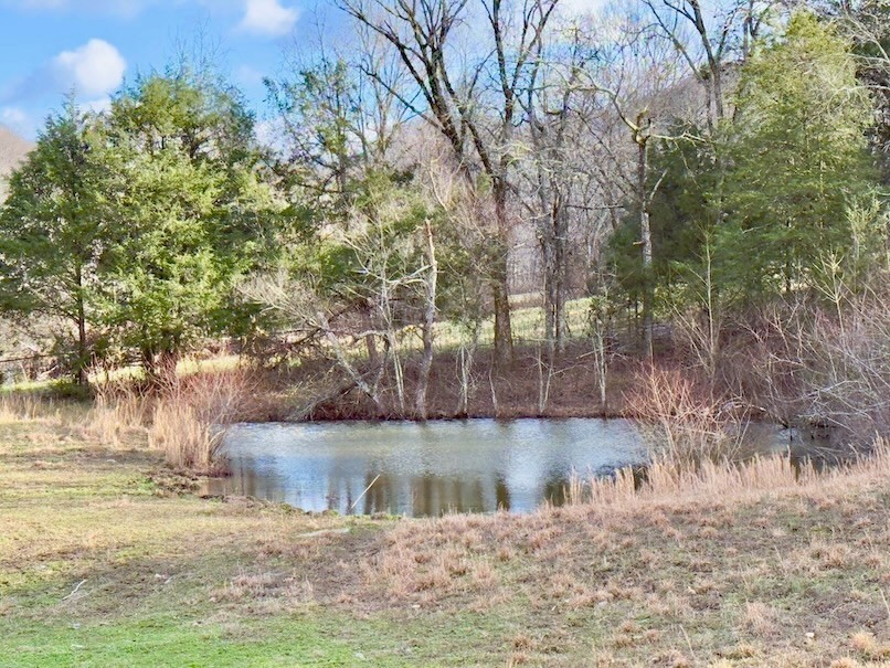 161 Fowler Road Woodbury, TN 37190 - Photo 49 of 69 a view of a lake with a house in the background
