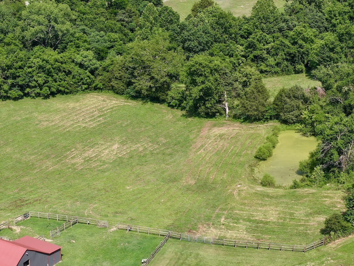 161 Fowler Road Woodbury, TN 37190 - Photo 61 of 69 a view of yard with green space