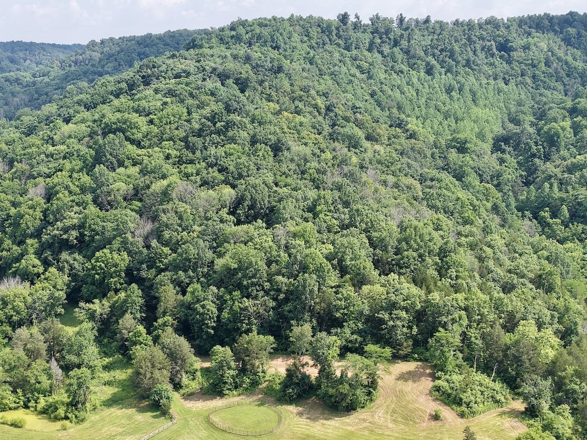 161 Fowler Road Woodbury, TN 37190 - Photo 68 of 69