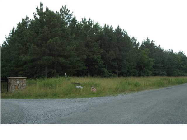 6 Brown Trace Road Jasper, TN 37347 - Photo 1 of 4 Primary Photo