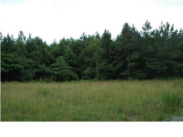 6 Brown Trace Road Jasper, TN 37347 - Photo 3 of 4 Additional Photo
