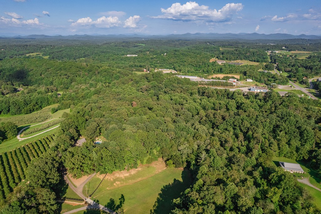 270 Stone Lane Blue Ridge, GA 30513 - Photo 70 of 76