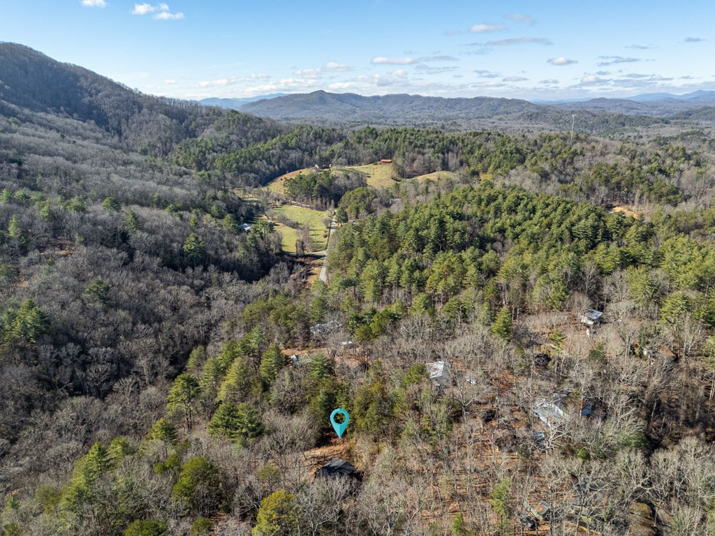 45 Mountain Stream Road Murphy, NC 28906 - Photo 38 of 43