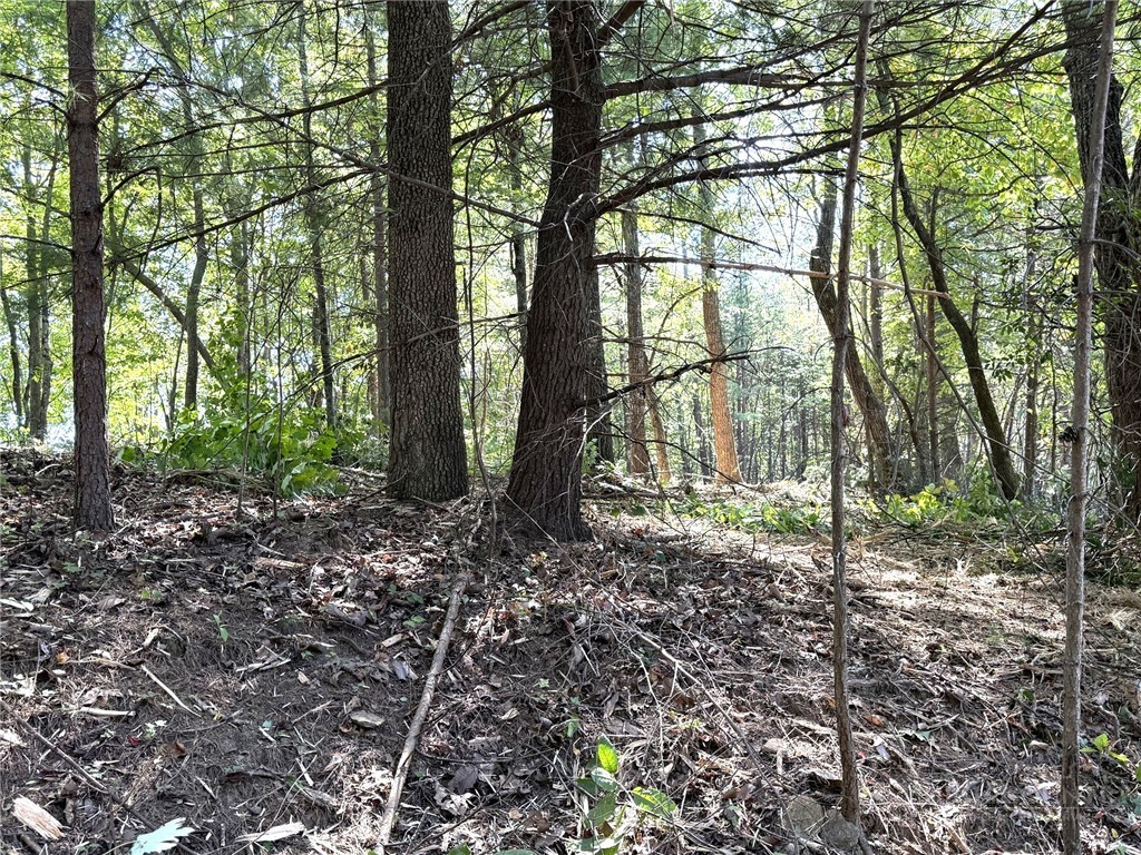 Ridge Run Road Boomer, NC 28606 - Photo 10 of 15 Gallery Image 10