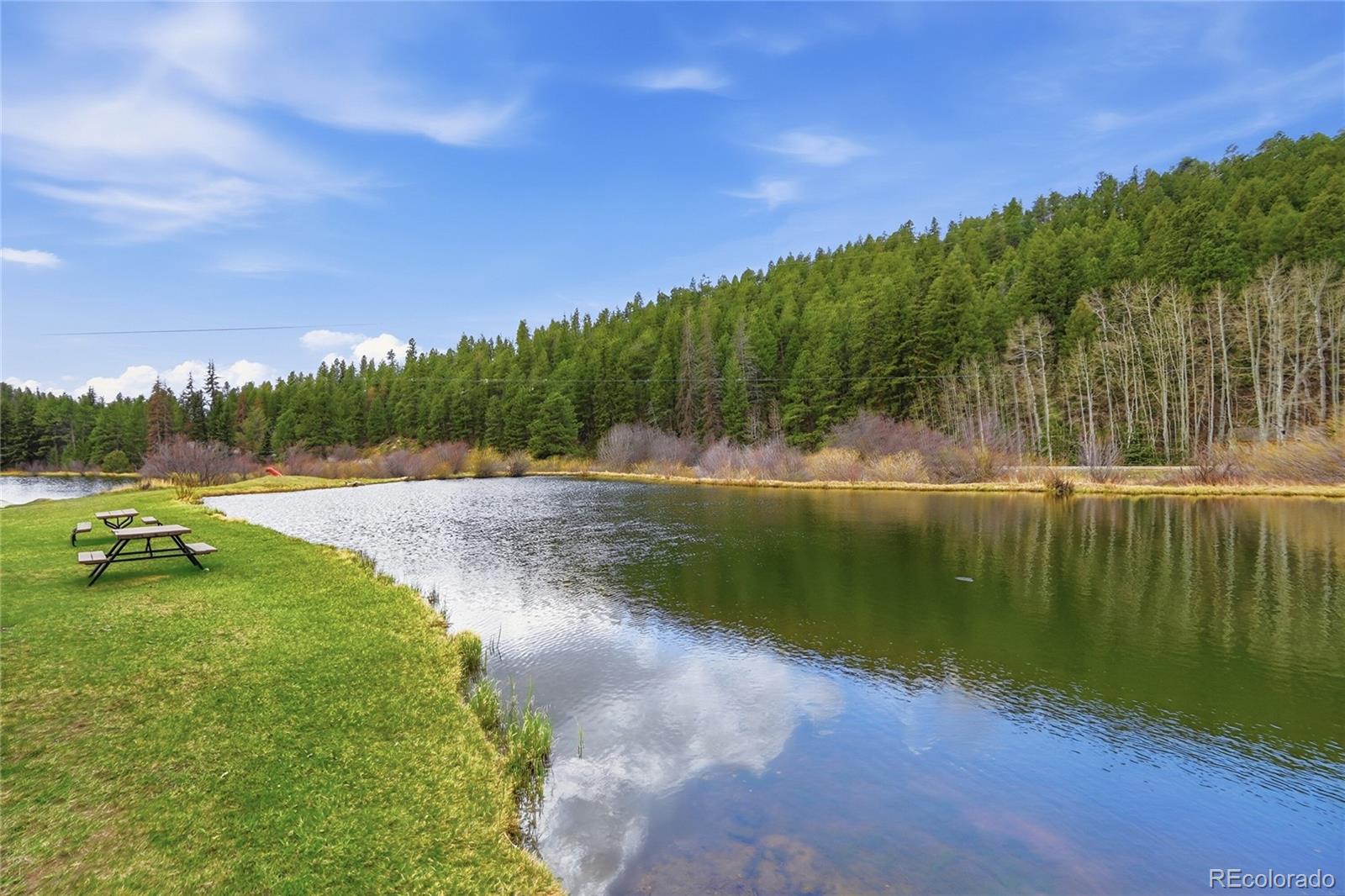 4718 County Road 72 Bailey, CO 80421 - Photo 47 of 50