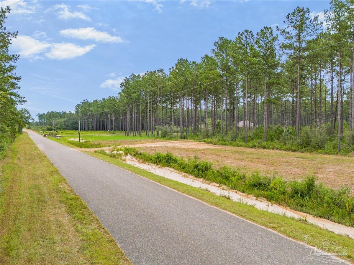 1403 Mineral Springs Road Jay, FL 32565 - Photo 4 of 15