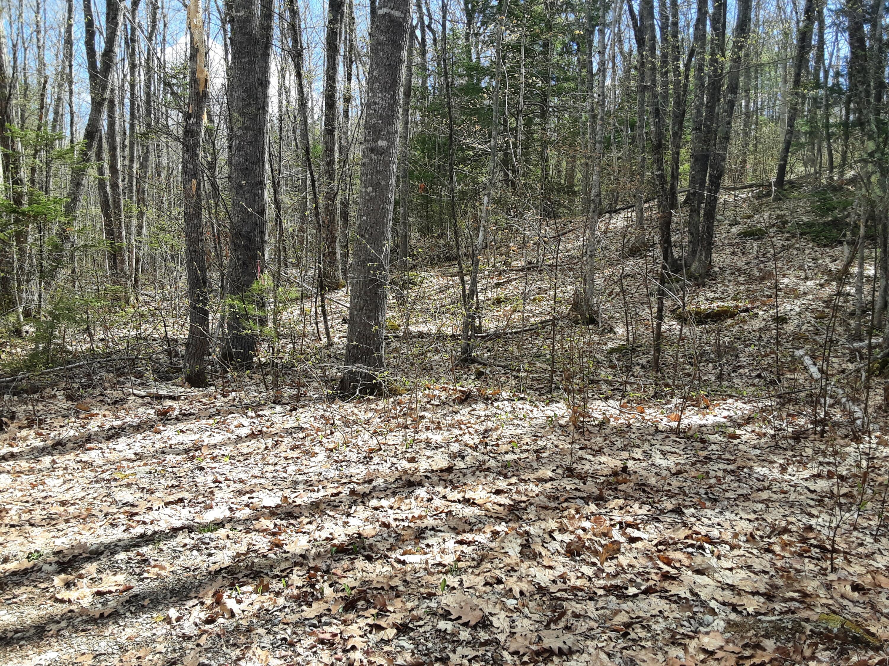 0 Libby Road Jefferson, ME 04348 - Photo 5 of 5 20260508_103052
