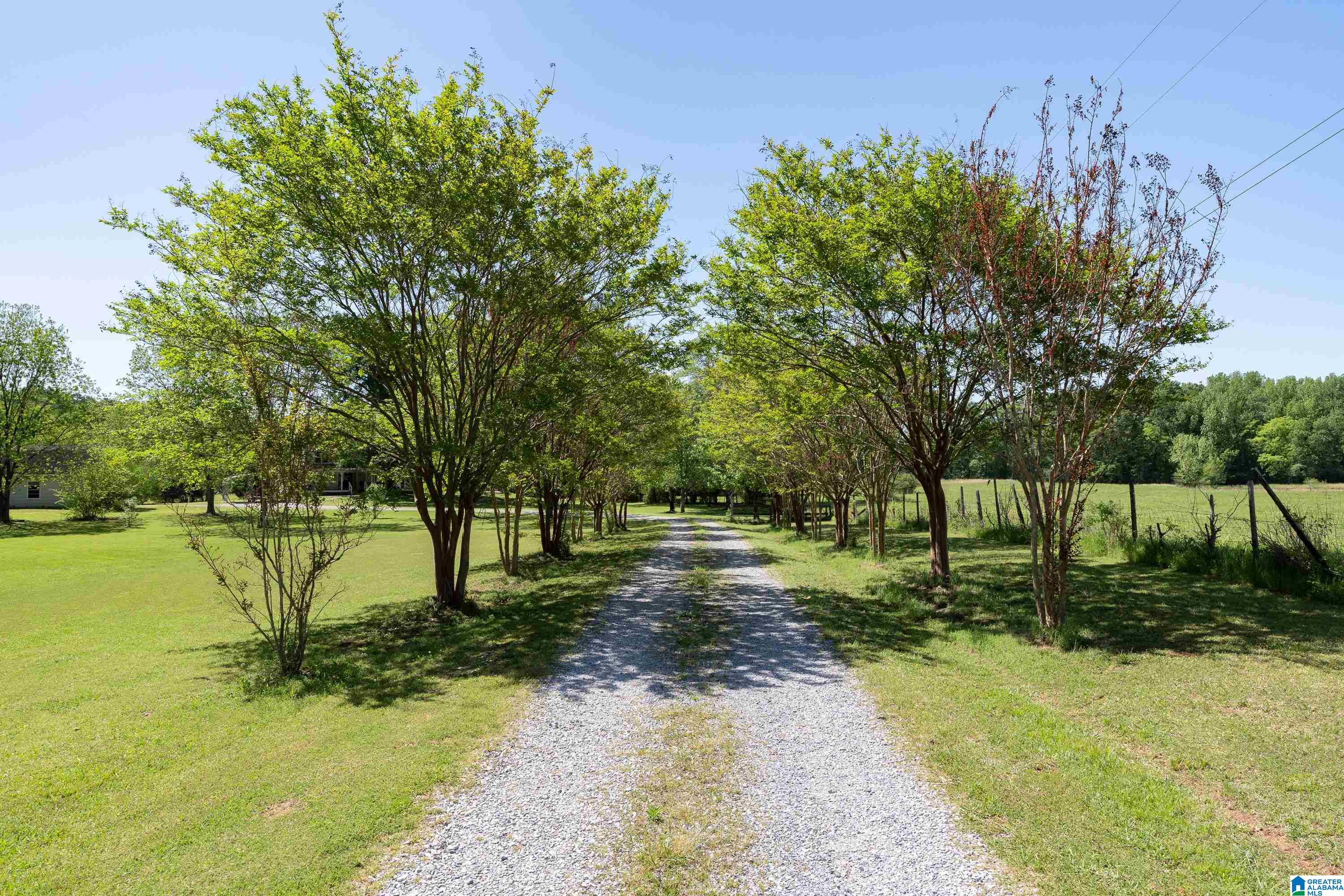 4493 Odens Mill Road Sylacauga, AL 35151 - Photo 40 of 62