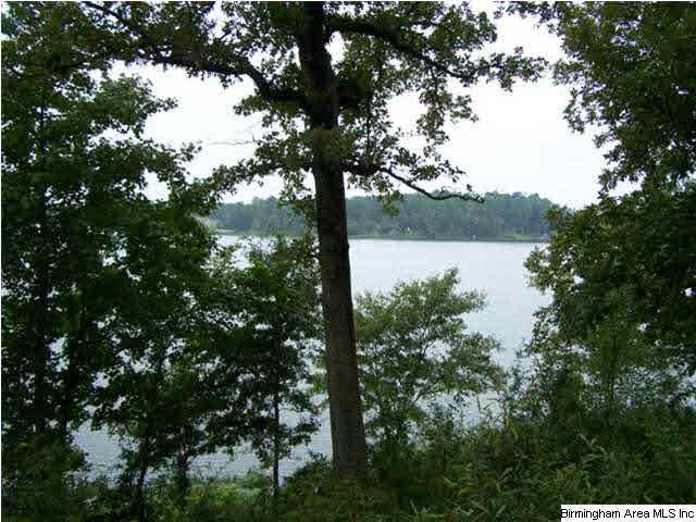 Boat Ramp Trail, Unit 109 Sylacauga, AL 35150 - Photo 4 of 6