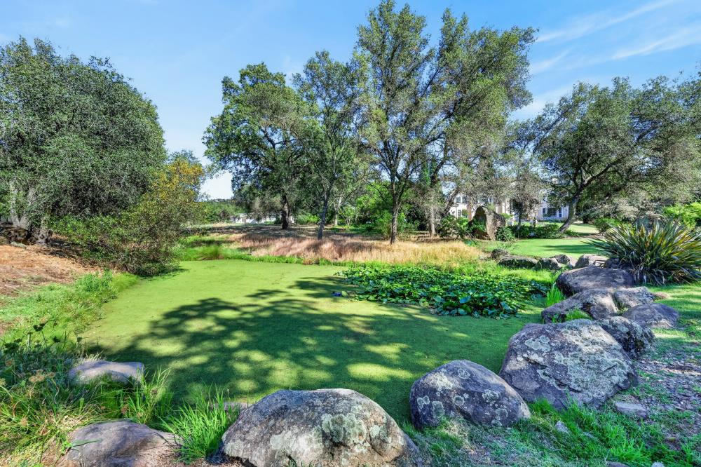 7760 Boulder Creek Road Penryn, CA 95663 - Photo 5 of 83