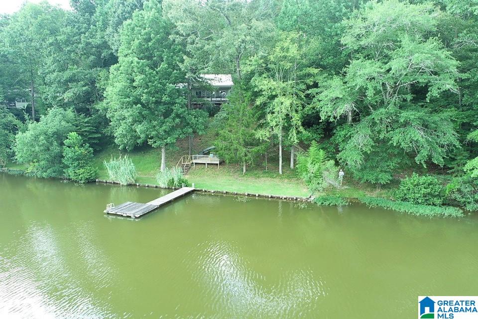 143 County Road 2010 Delta, AL 36258 - Photo 26 of 32