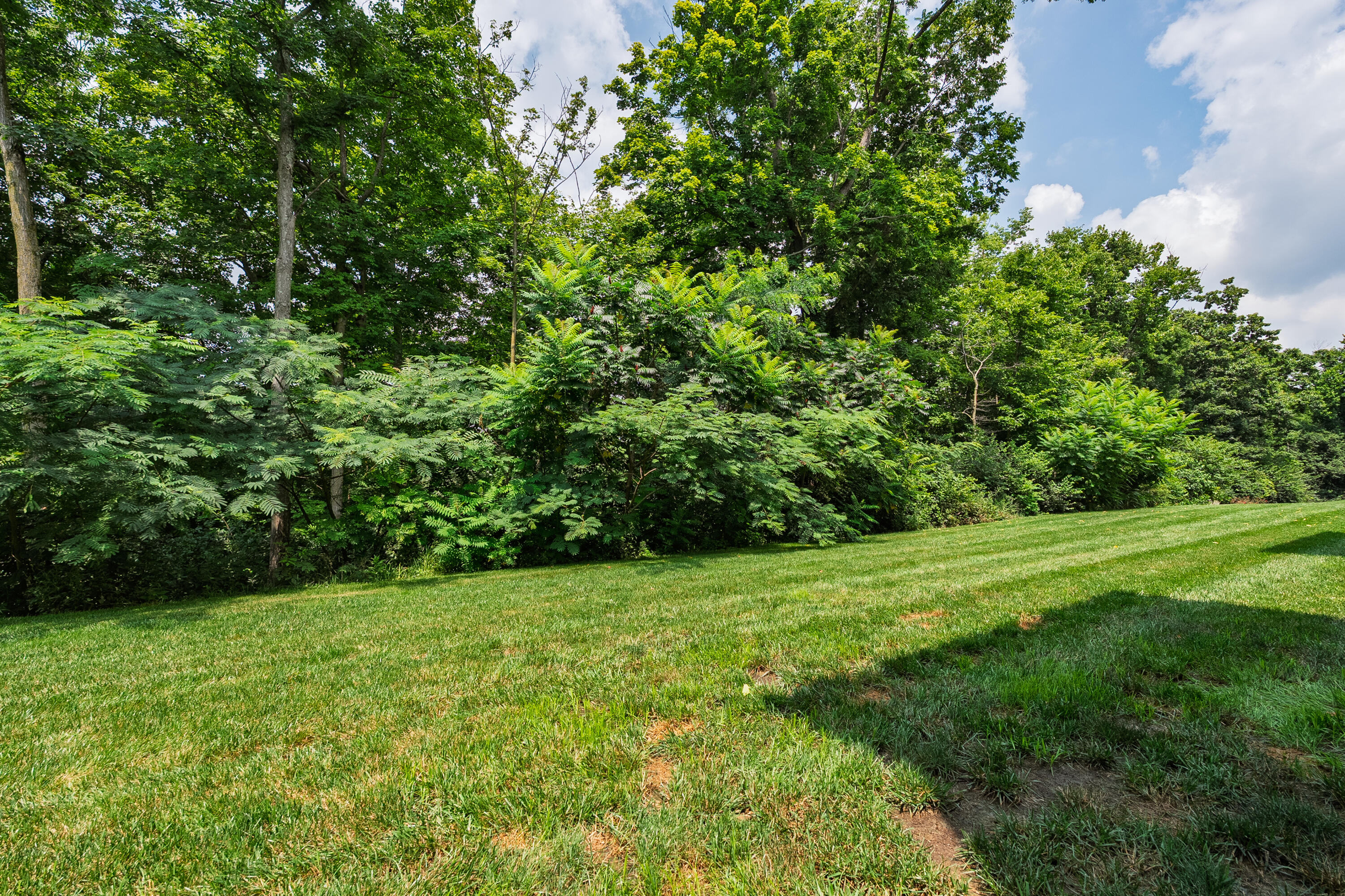 2233 Piazza Ridge Covington, KY 41017 - Photo 21 of 27 Piazza Ridge-7