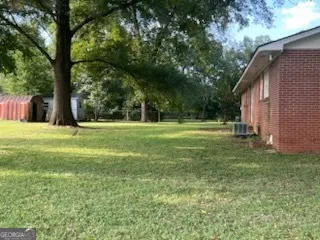 a view of a trees in a yard