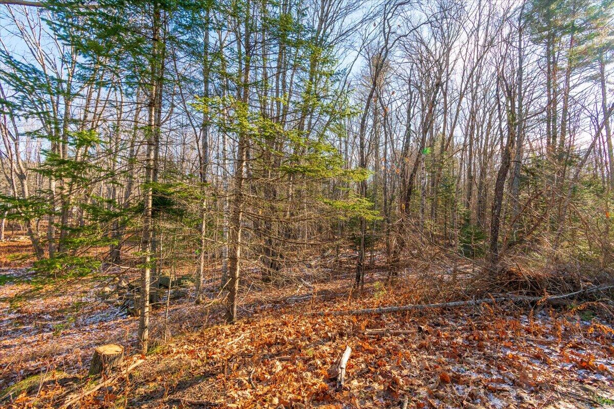 11 Map Way Rockport, ME 04856 - Photo 18 of 27 Map 11 Lot 50-2 Malachi Way, Rockport
