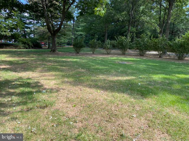 2181 Warwick Road Jamison, PA 18929 - Photo 15 of 15 Yard.