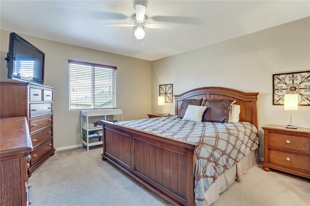 6897 Shimmering Leaf Road Colorado Springs, CO 80908 - Photo 13 of 24