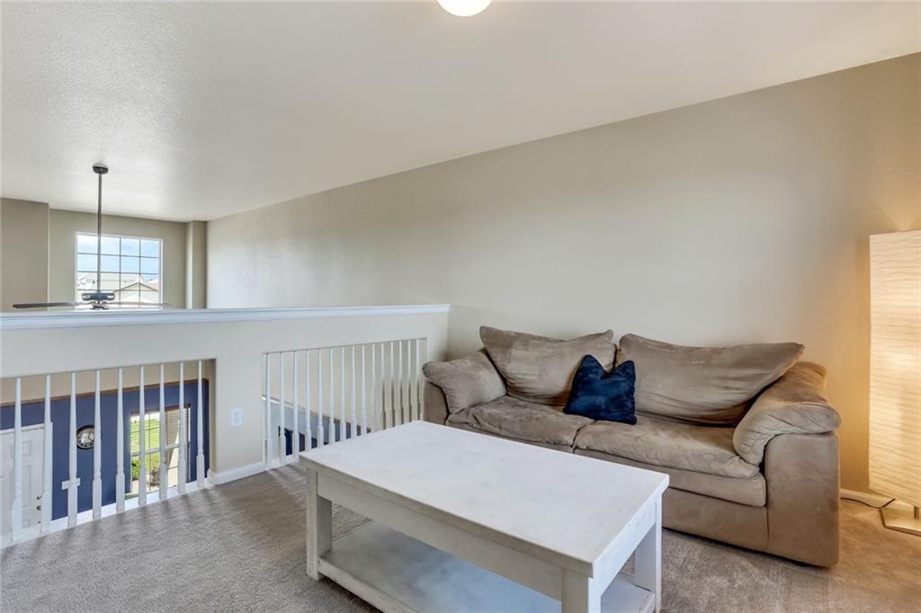 6897 Shimmering Leaf Road Colorado Springs, CO 80908 - Photo 16 of 24