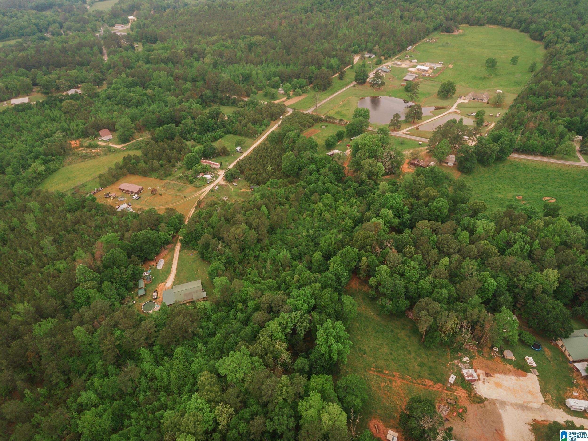 600 Possum Trot Road, Unit 10 34 Piedmont, AL 36272 - Photo 4 of 15