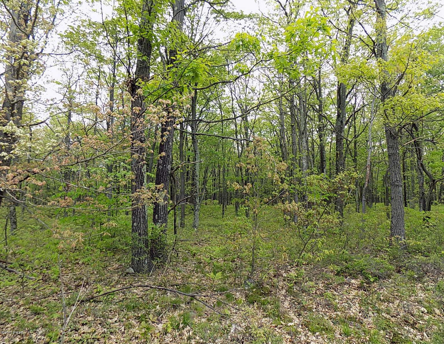 Lot 15 Bloss Road Road Canadensis, PA 18325 - Photo 5 of 6