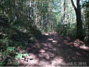 0 Haw Branch Road Barnardsville, NC 28709 - Photo 2 of 4 a view of a forest with trees in the background