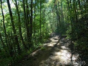0 Haw Branch Road Barnardsville, NC 28709 - Photo 4 of 4