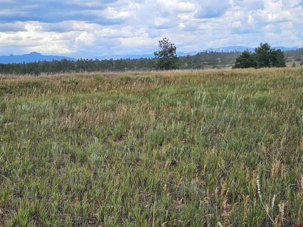 a view of a lake and green valley