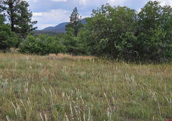 a view of a lake with a field