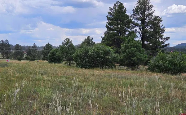 a view of a field of grass and trees