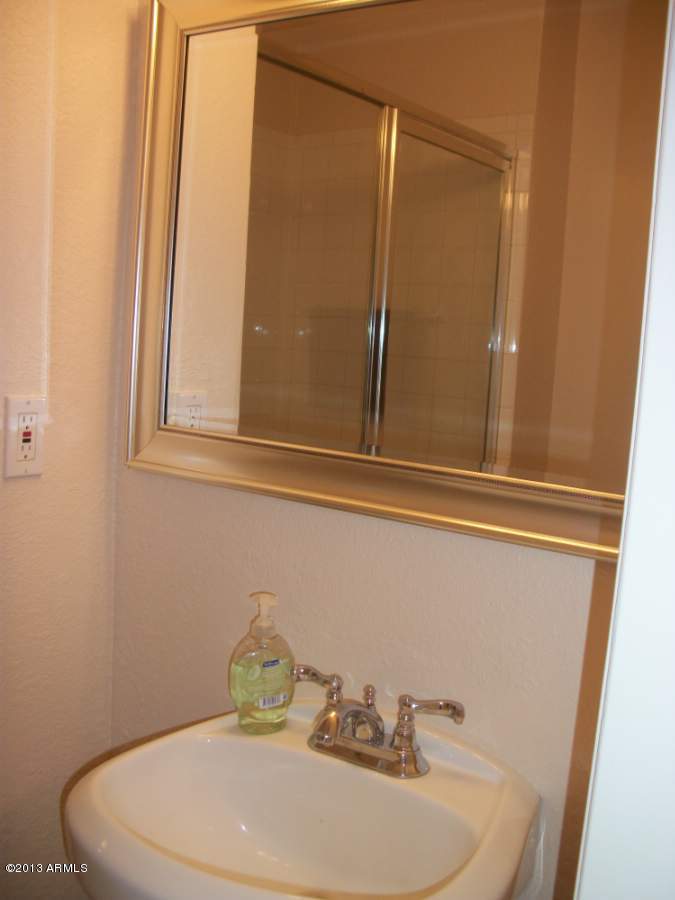 1015 East Redfield Road Tempe, AZ 85283 - Photo 14 of 20 A Redfield down bath2