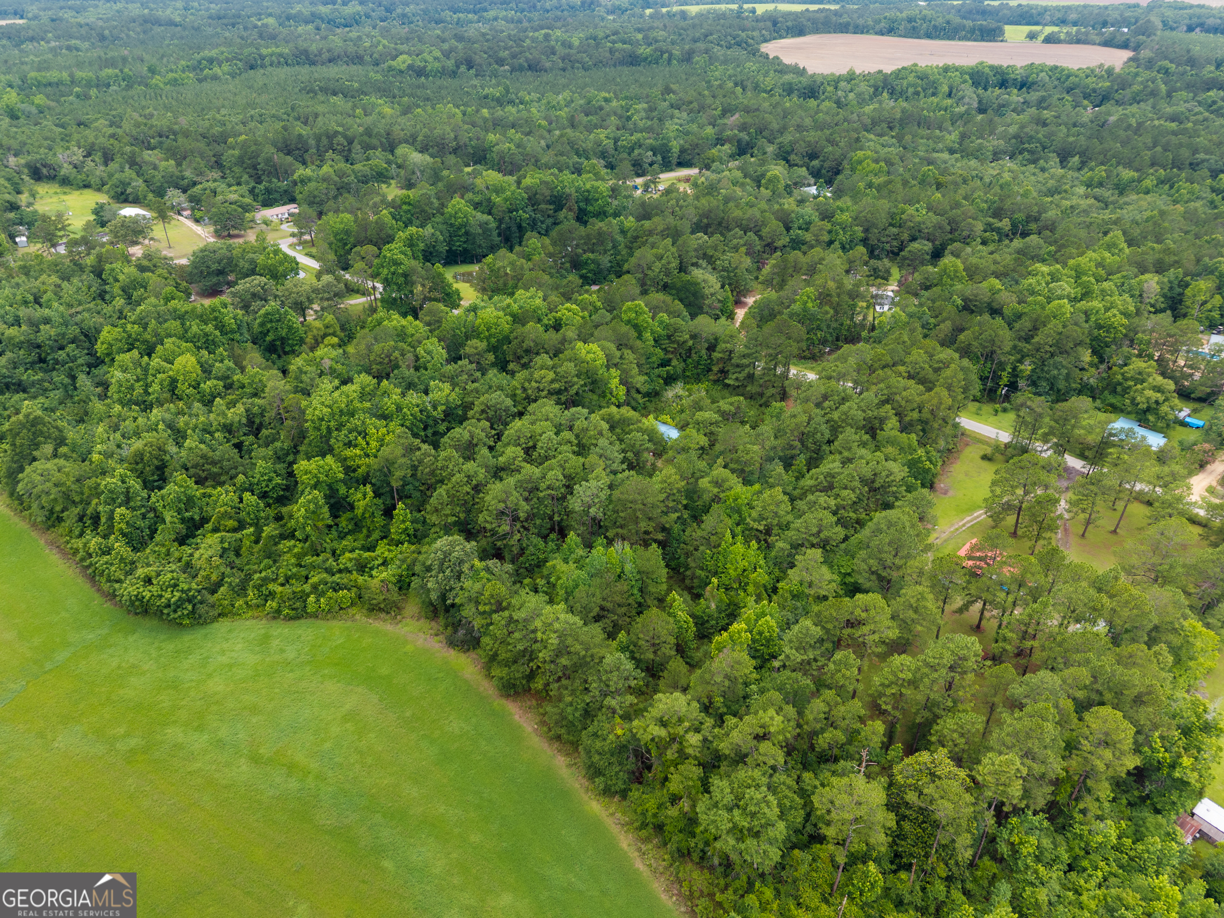 243 Buck Road Sylvania, GA 30467 - Photo 4 of 12