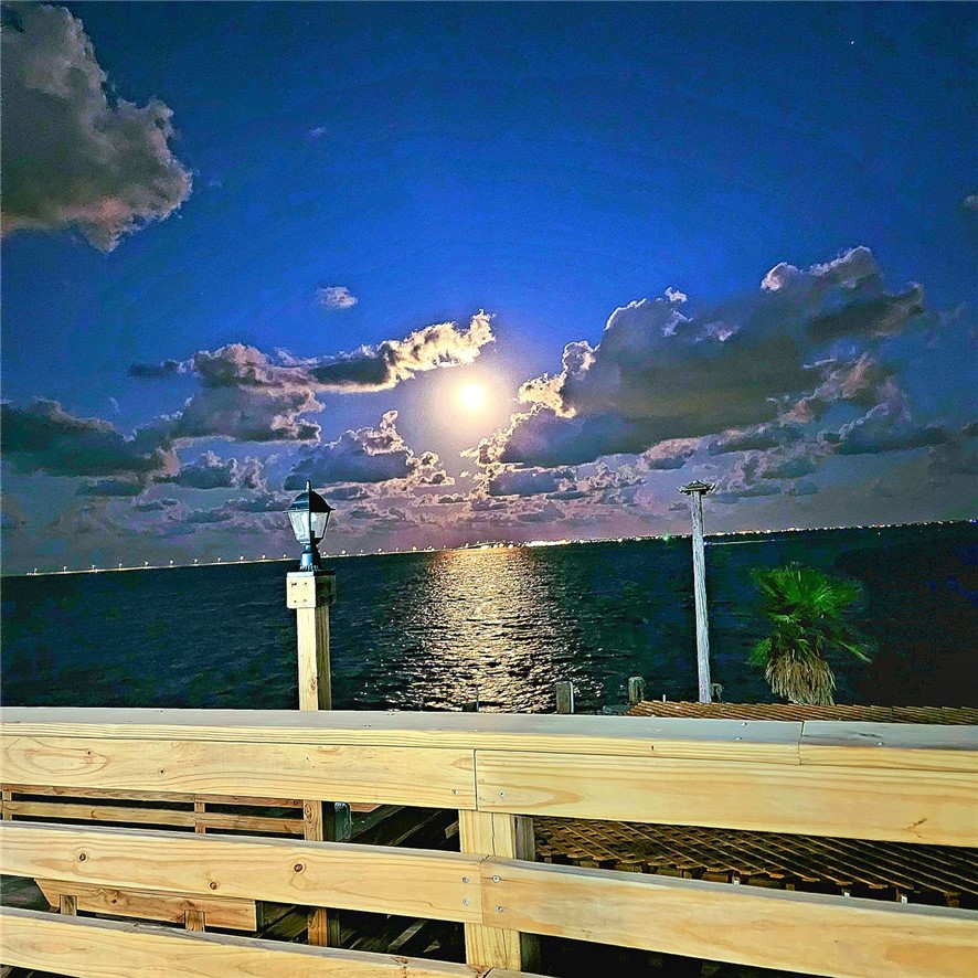 2445 Laguna Shores Road Corpus Christi, TX 78418 - Photo 38 of 39 a view of a terrace