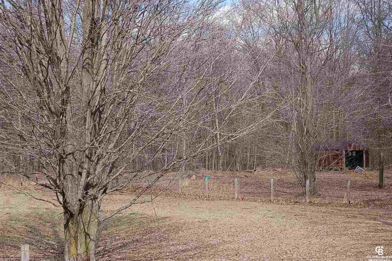 13401 Briggs Road Chesaning, MI 48616 - Photo 12 of 44 31375393-11.JPG