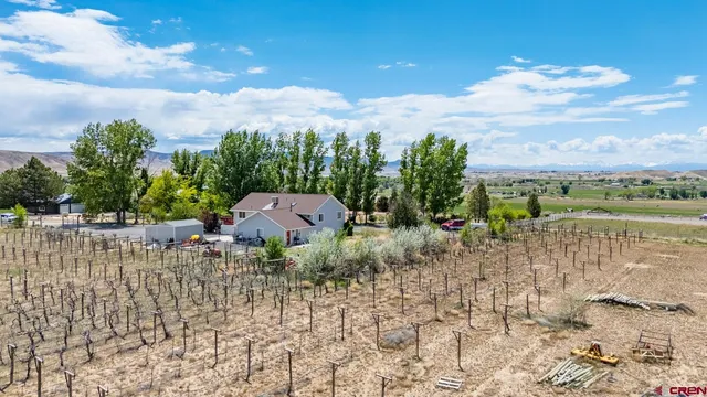 $624,999 | 8555 Coffey Road, Austin, CO 81410