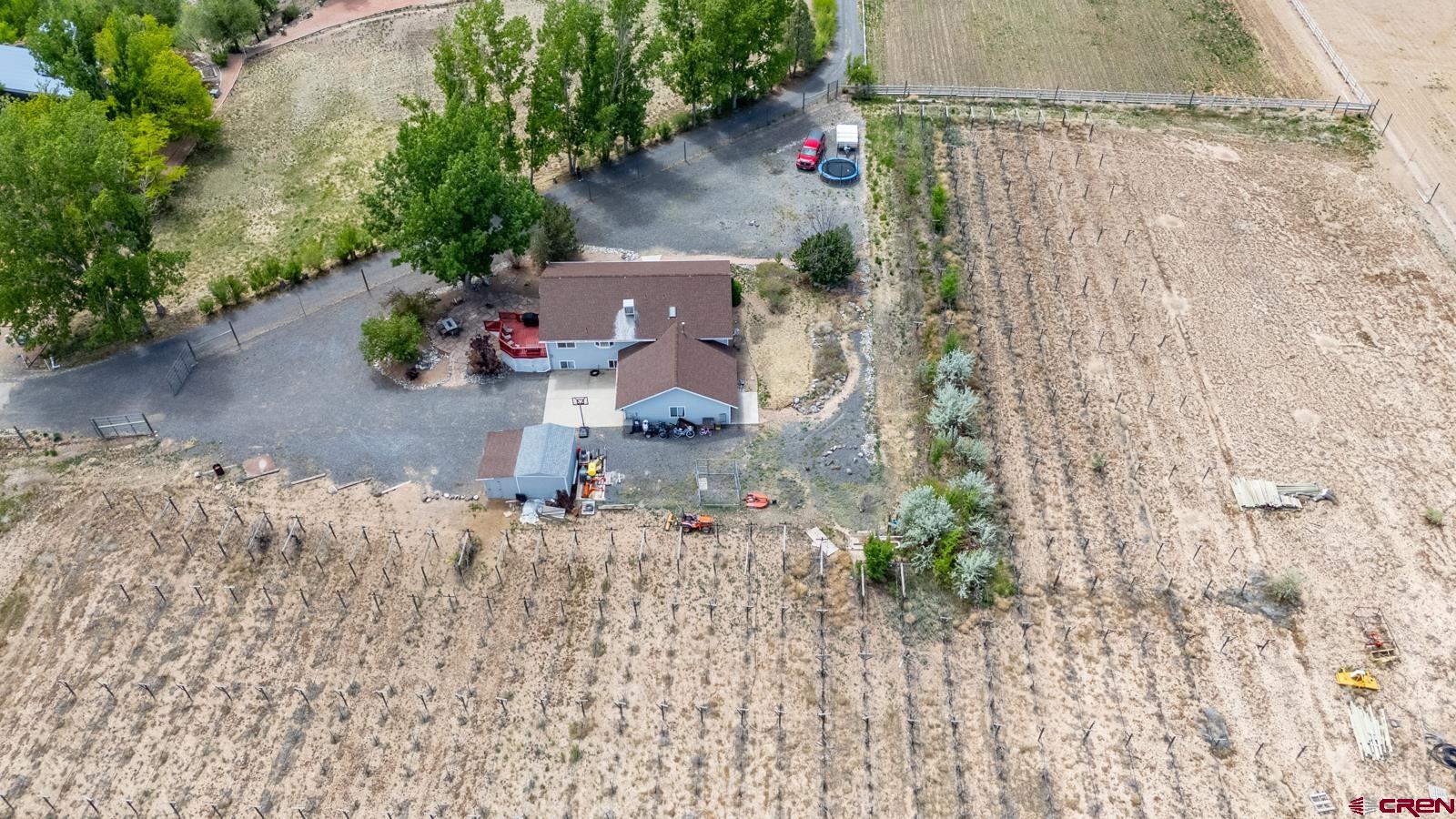 8555 Coffey Road Austin, CO 81410 - Photo 42 of 43