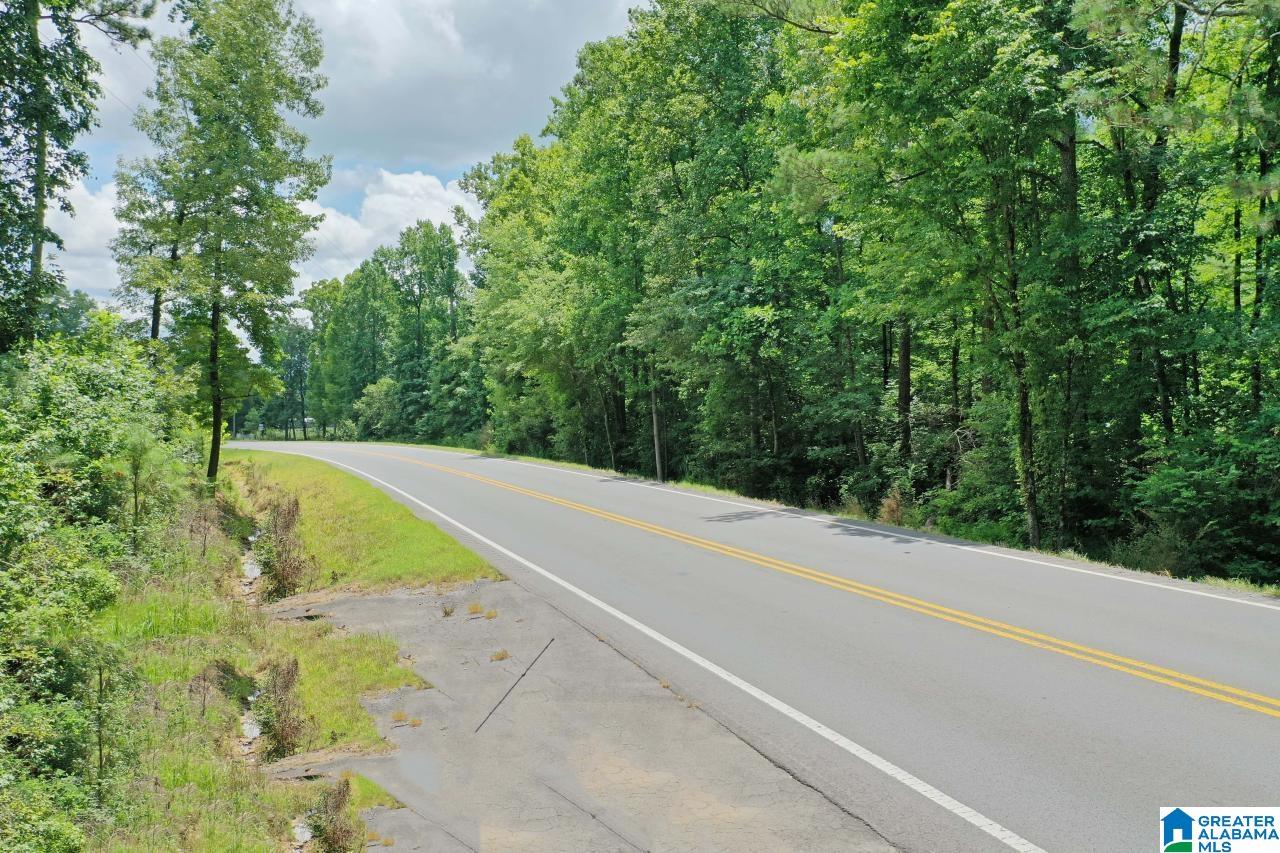 0 US Highway 278 Altoona, AL 35952 - Photo 12 of 14