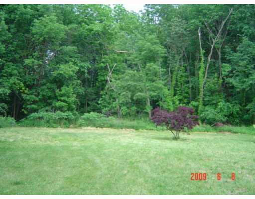 201 New Road New Galilee, PA 16141 - Photo 6 of 12 Other. Great back yard