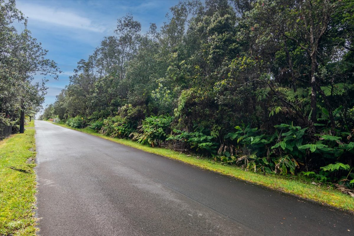 654 7th Street Volcano, HI 96785 - Photo 2 of 12 a view of a garden