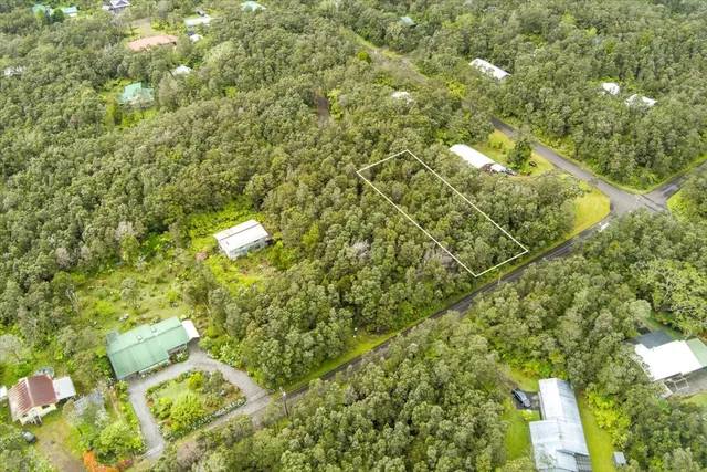 a view of a tree with a tree
