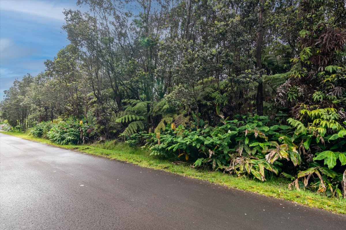 654 7th Street Volcano, HI 96785 - Photo 4 of 12 a view of a garden