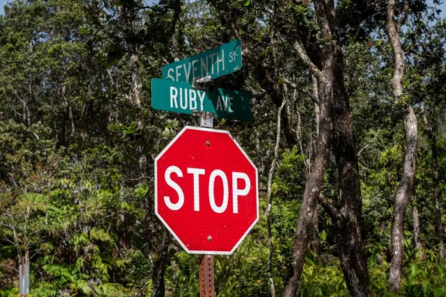 a blue sign that is sitting next to a road