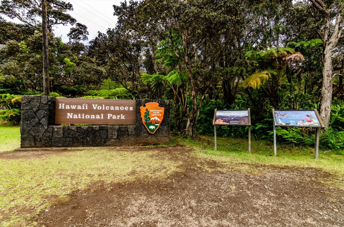 654 7th Street Volcano, HI 96785 - Photo 10 of 12 a view of a park with large trees