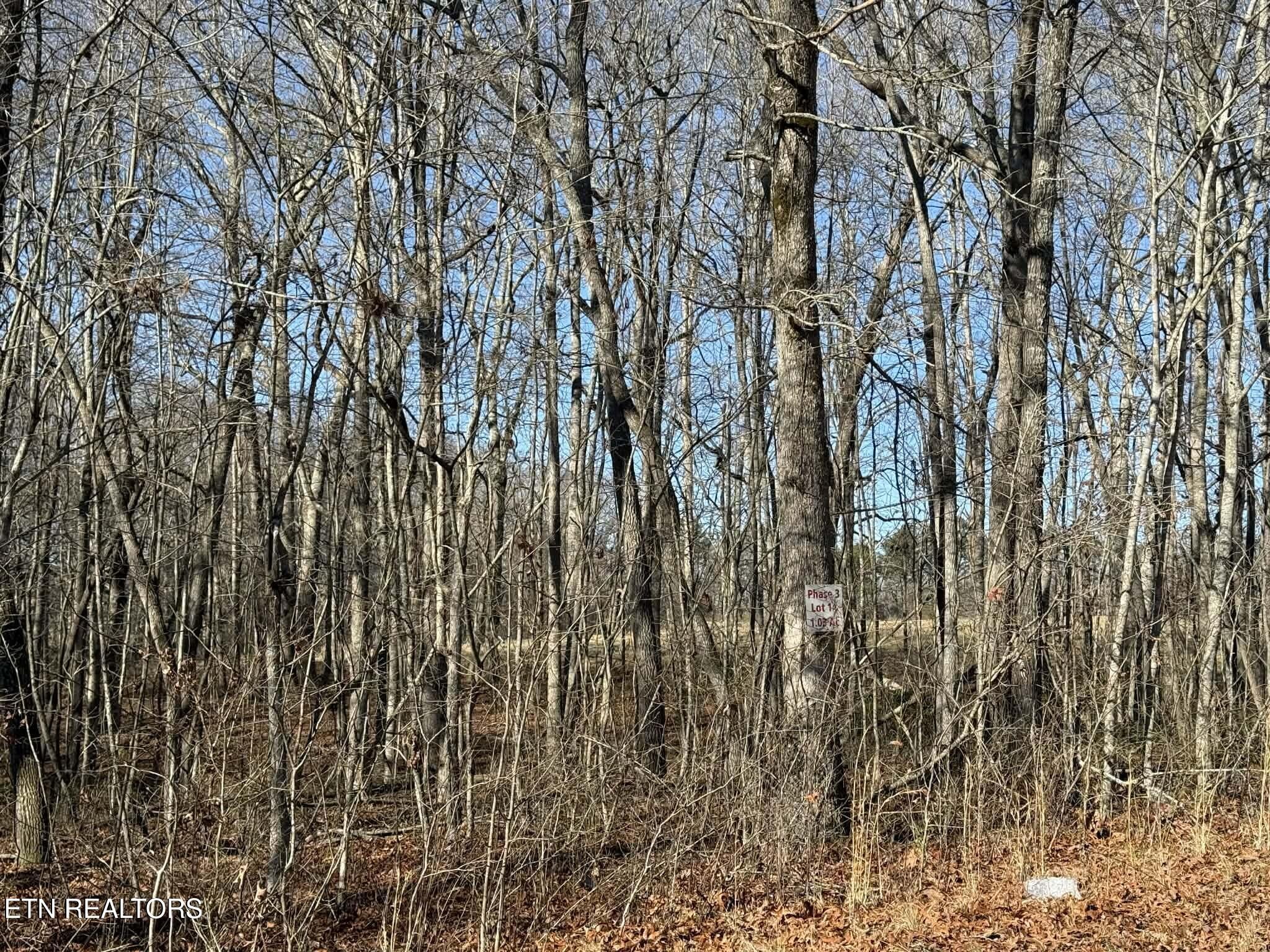 0 Georgee Road Jamestown, TN 38556 - Photo 8 of 13