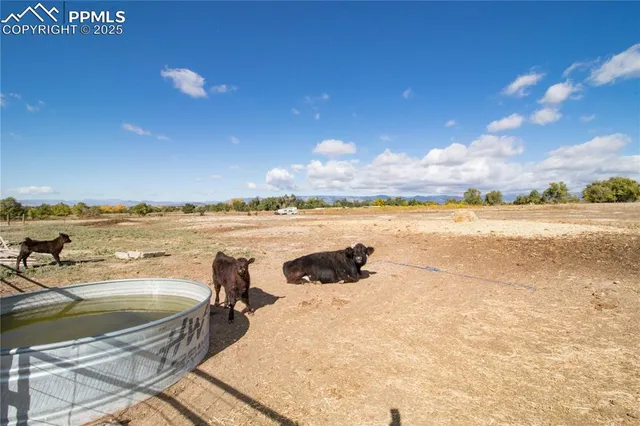 a view of an ocean and beach