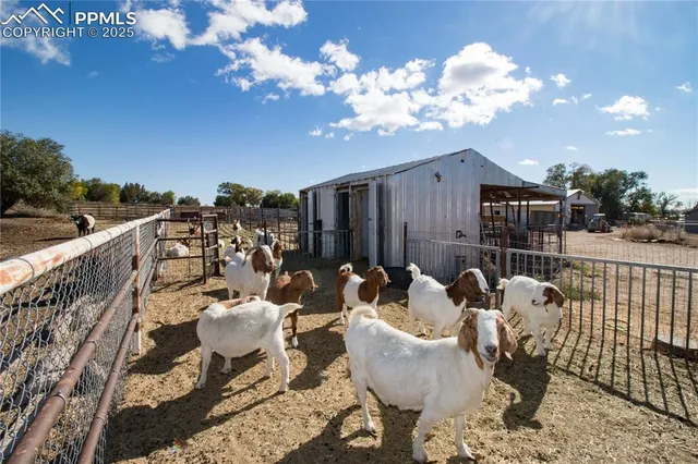 a view of a chairs and tables in the balcony